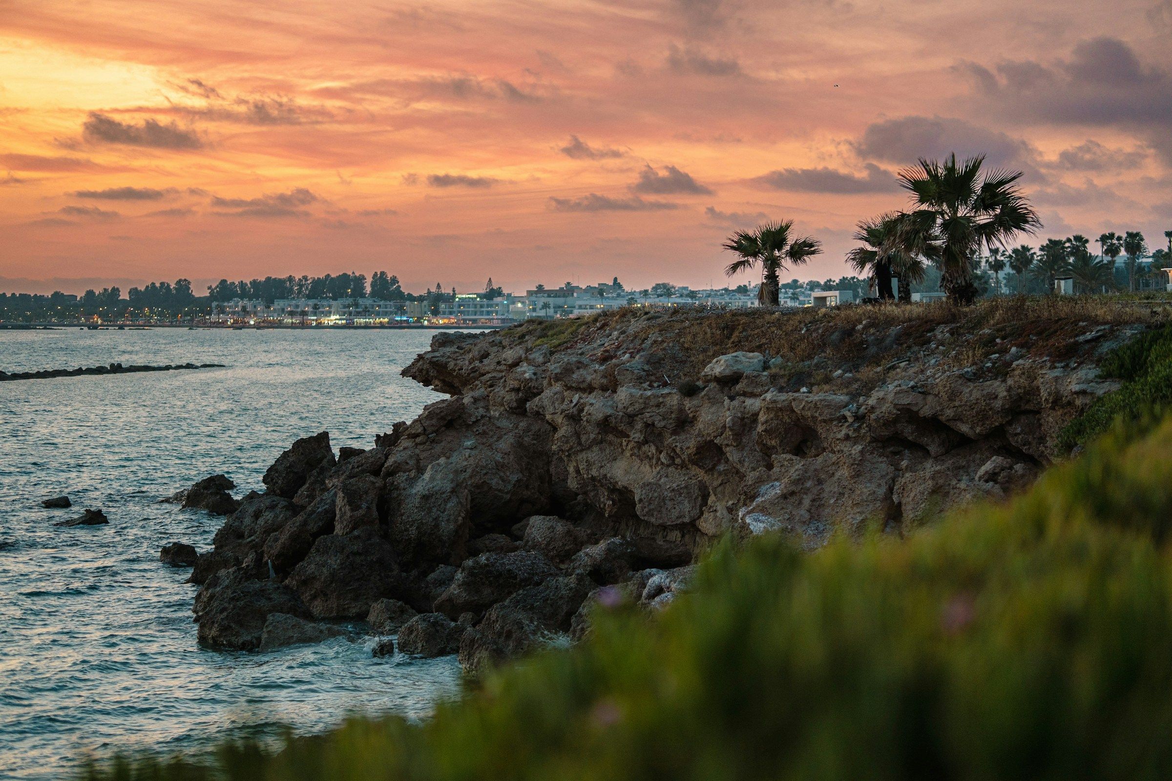 A rocky shoreline with palm trees under an evening sky.